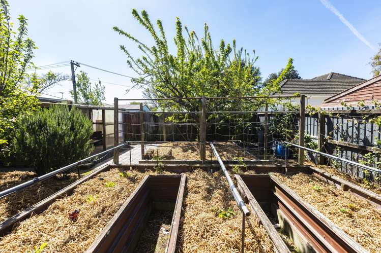 50 Quinns Road Shirley_6