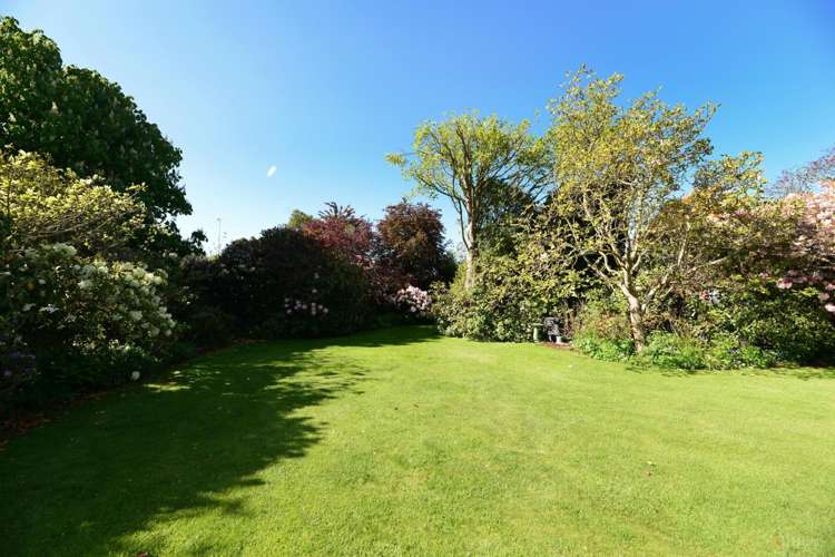 36 Frederick Street Makikihi_18