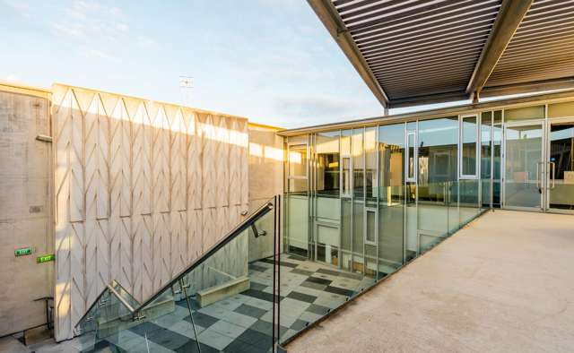 Suite 1/8A Cleveland Rd Parnell_4