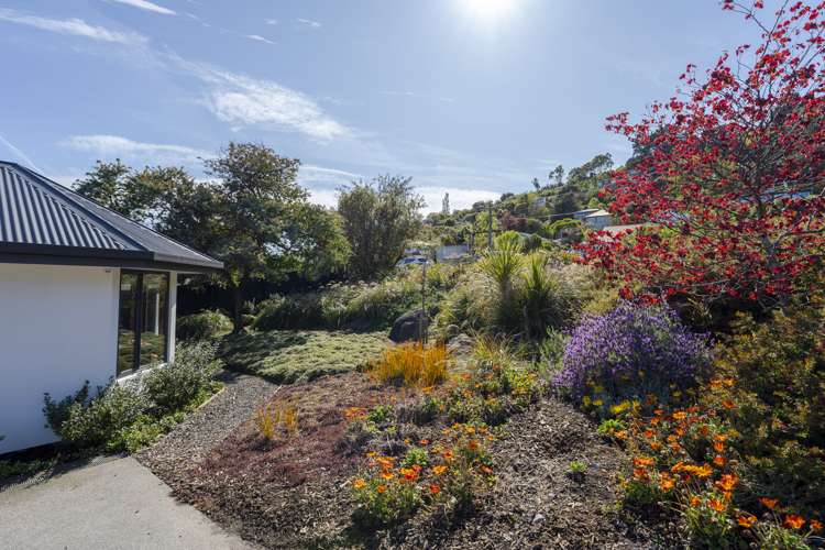 62 Vernon Terrace Hillsborough_16