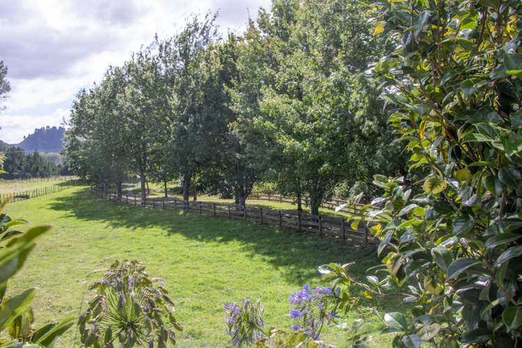 993 Whirinaki Valley Road Ngakuru_40