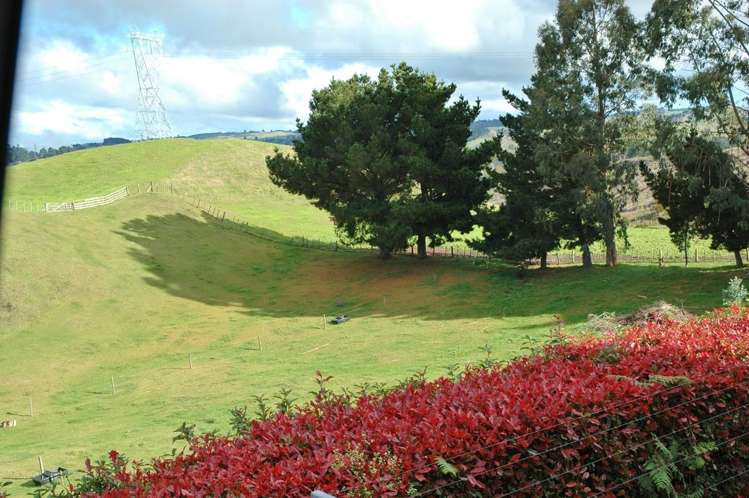 491 Palmer Mill Road Wairakei and Surrounds_16