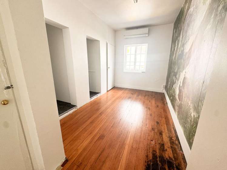 229 Parnell Road Parnell_5