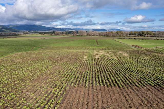 6/111 Muhunoa West Road Ohau_4