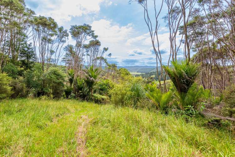 542 Duddy Road Hokianga_20