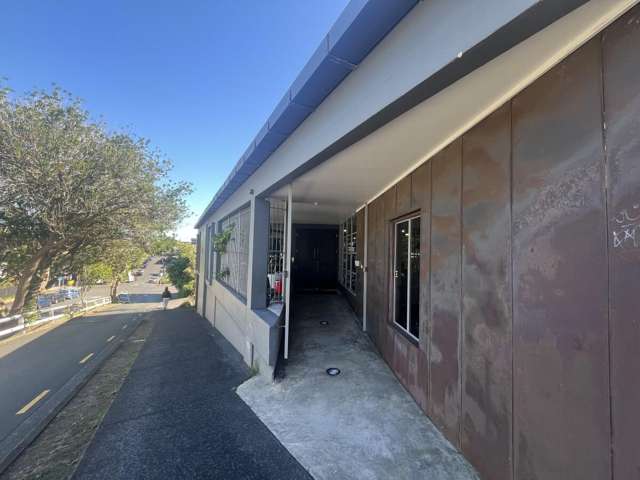 21 Scanlan Street Grey Lynn_2