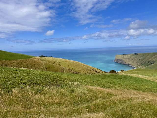 461 Goughs Road Goughs Bay_3