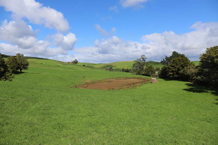 Inkster Road Maromaku_15