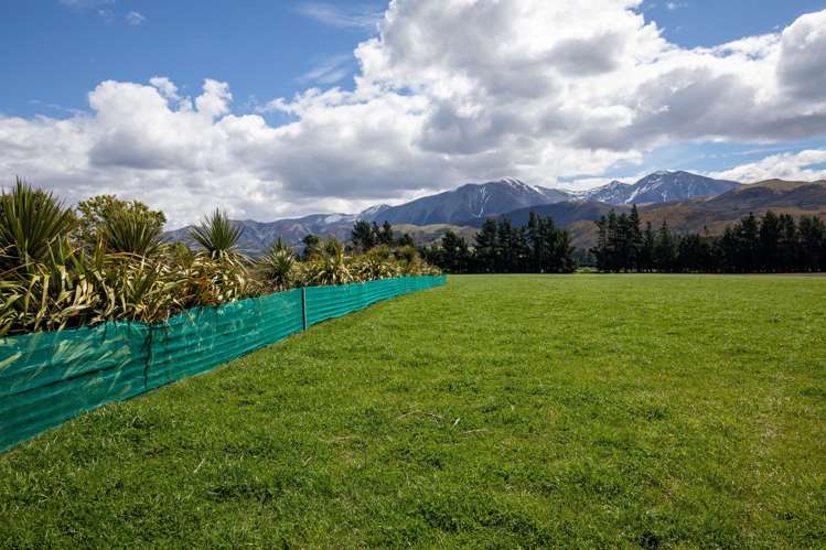 Kowai Road Springfield_6