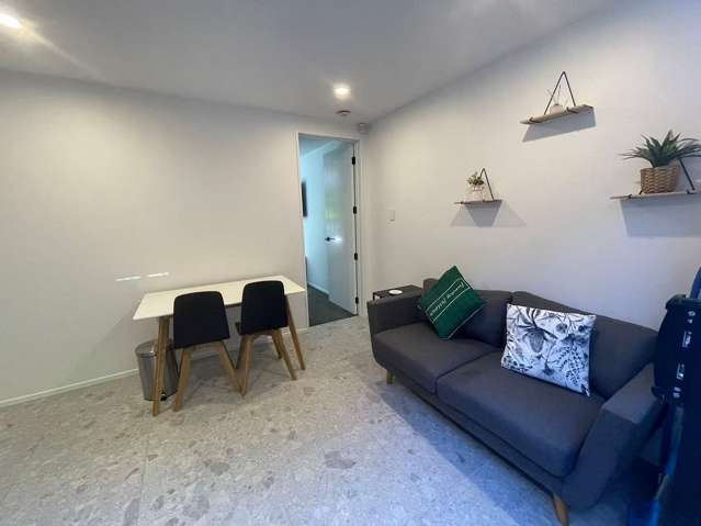 1 bedroom &1 living+kitchen 1bathroom
