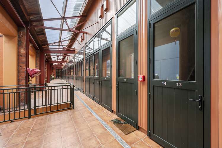 14/14 Alpha Street Te Aro_10