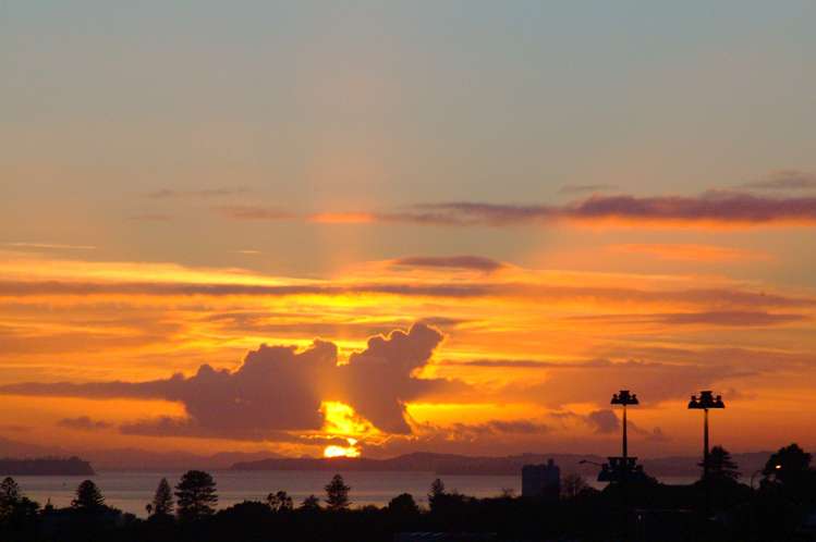 124 Symonds Street Eden Terrace_4