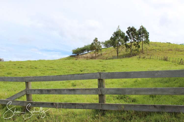 215c Heatley Road Whakapirau_8