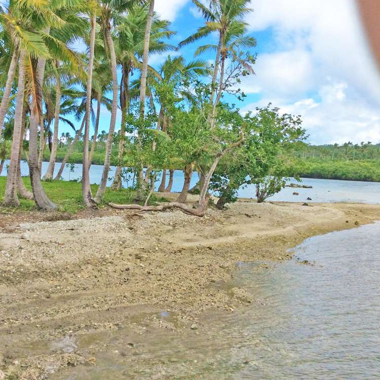 1 Mill Rock Island Savusavu_13