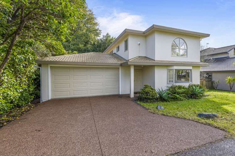 22 Poturi Streams Avenue Titirangi_11