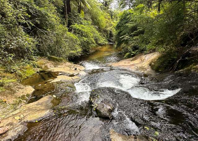 18B Plummer Road Whakamarama_2