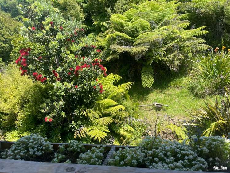 29 Cape Barrier Road Great Barrier Island (Aotea Island)_10