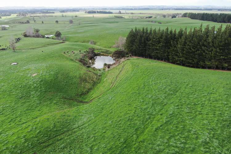 2048 State Highway 50 Ongaonga_15