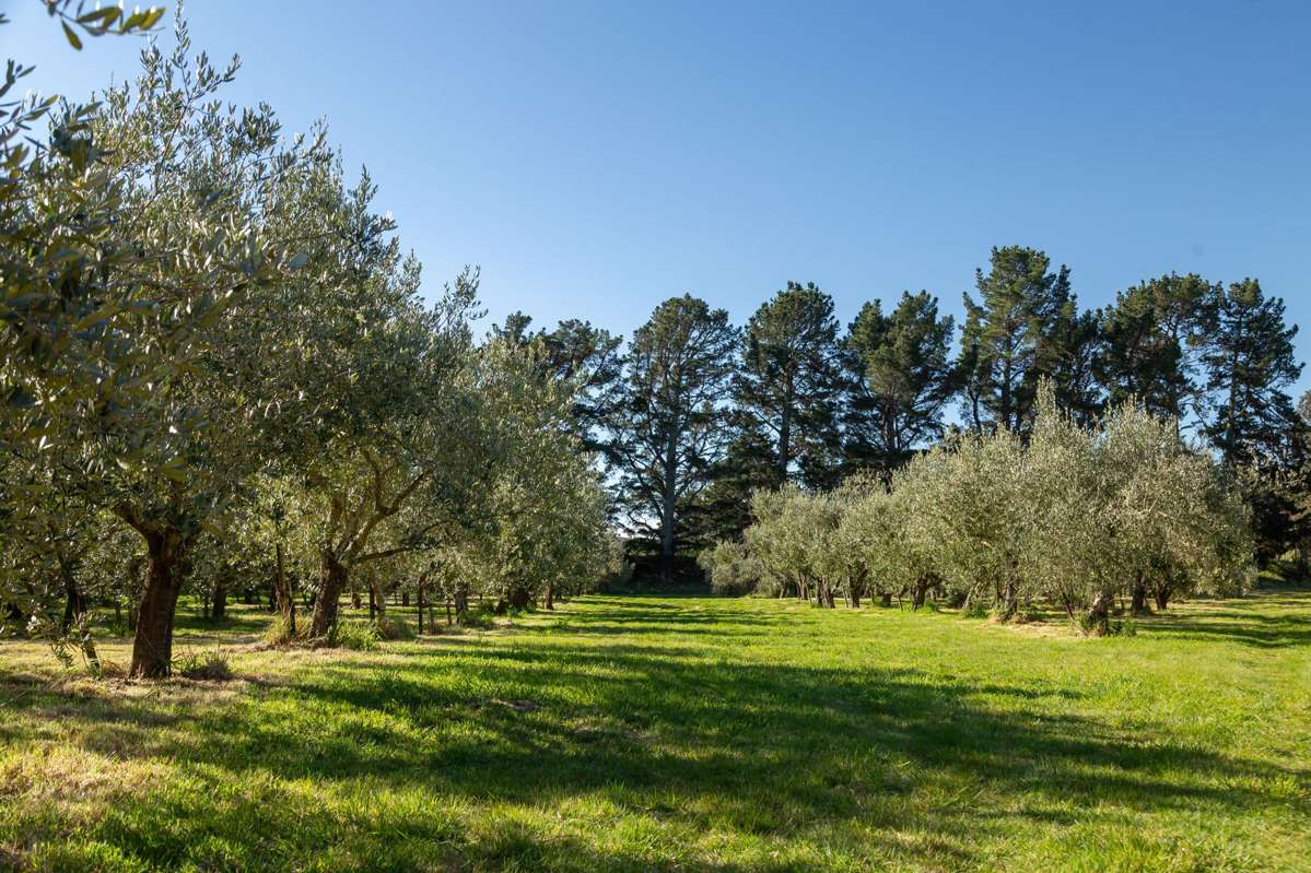 417 Upper Plain Road_3