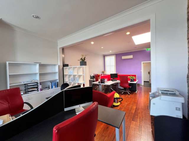 29 Ponsonby Road Grey Lynn_3