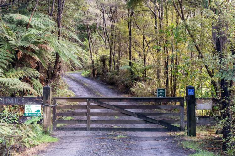 300 King Road Mangawhai_14