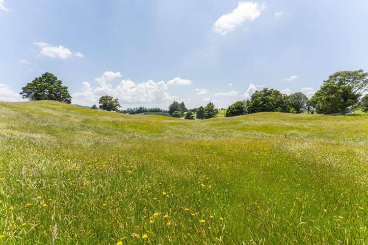 1461 Poihipi Road Oruanui_10