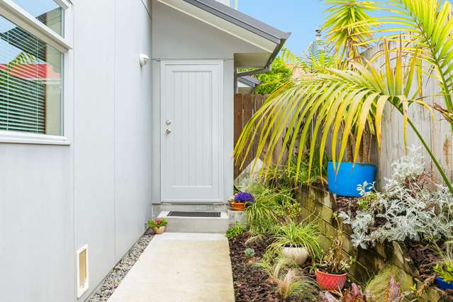 29b Merivale Road Parkvale_4