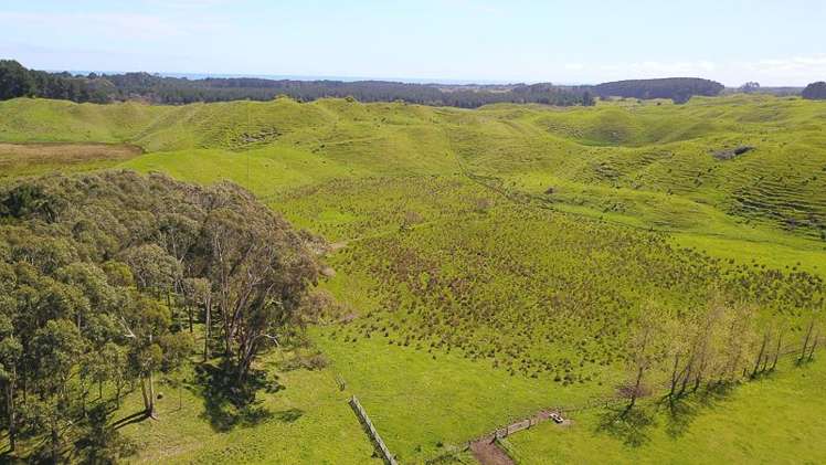 616 Muhunoa West Road Ohau_4