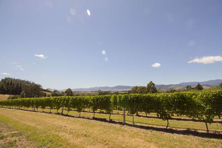 228 Golden Hills Road Appleby_19