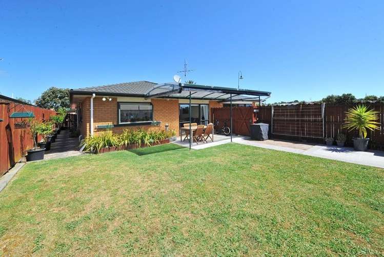 66 Medvale Avenue Flat Bush_5
