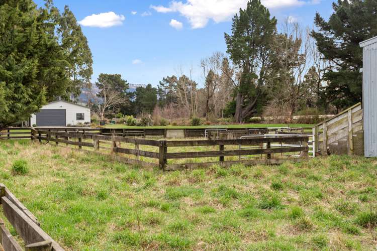 654 Frasers Road Springfield_25