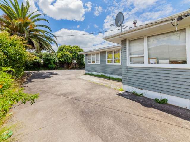 15 Mcdivitt Street Manurewa_1