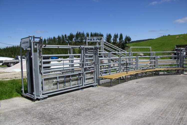 Korako Road Taupo_24