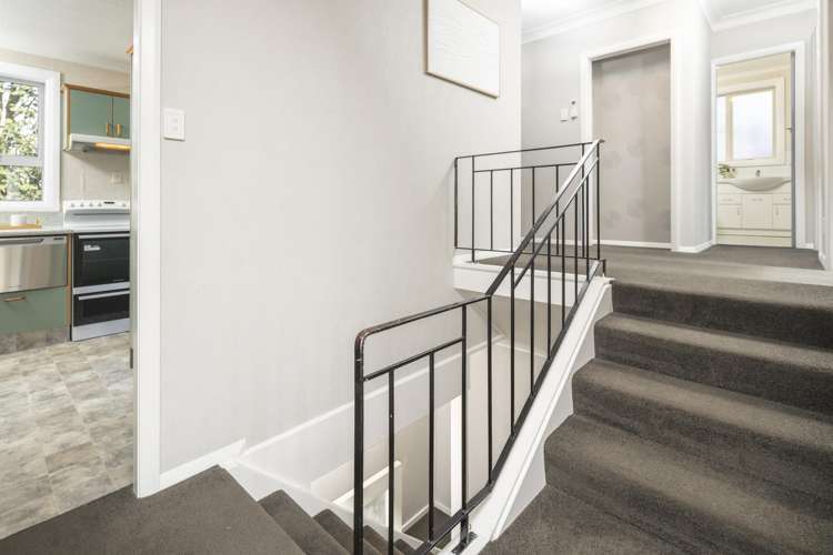 83 Neidpath Road Mornington_8