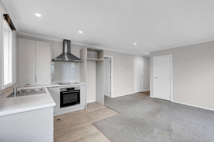 1/206 Ulster Street Whitiora_10