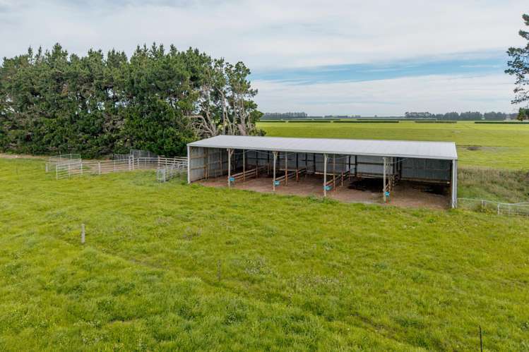 179 Hunters Road Dunsandel_18