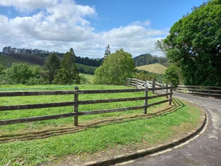 401 Creightons Road Clevedon_8