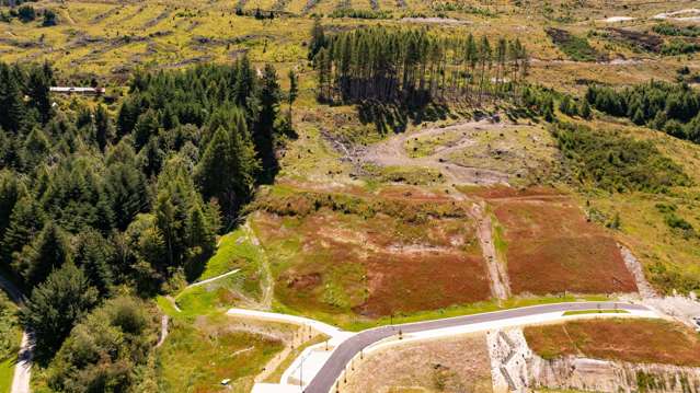 117 Arthurs Point Road Arthur's Point_4