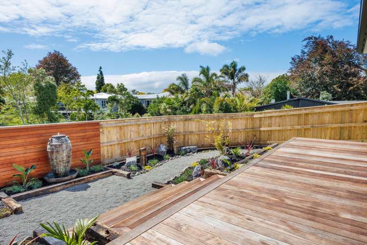 238 Park Road Hokowhitu_3