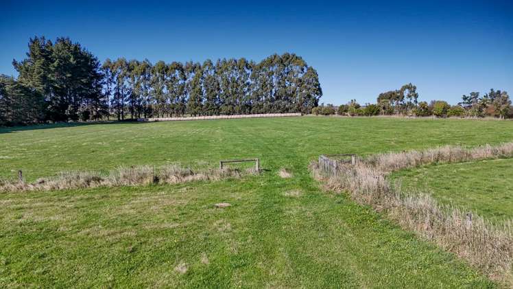 224 Marshmans Road Ashley_8