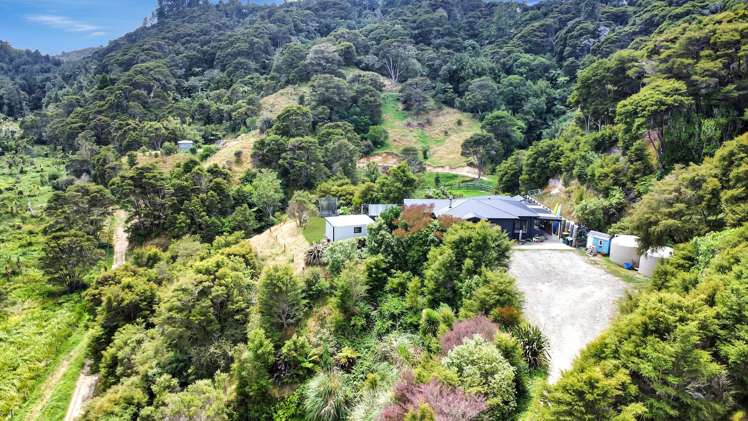 791B White Pine Bush Road Awakeri_11