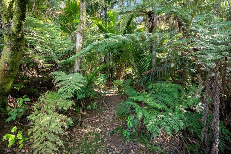 413 Kanohi Road Kaukapakapa_43