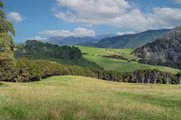 425n Boat Harbour Road Whenuakite_30