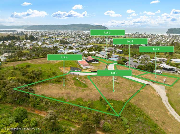 Lot Lots 1,4,5,6,7 / 409 The Drive Whangamata_18