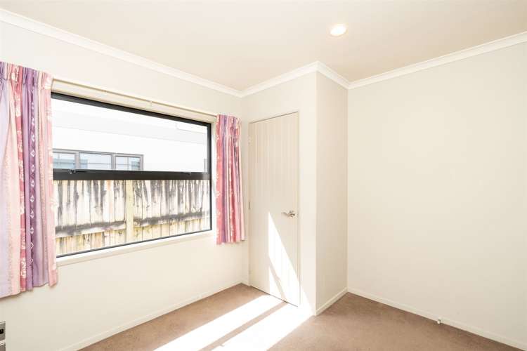 44a Willoughby Street Whitiora_14