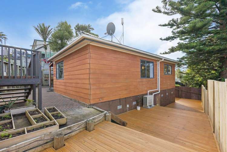 161A Don Buck Road Massey_24