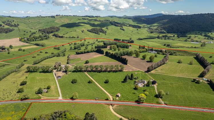 774 Buckland Road Matamata_28