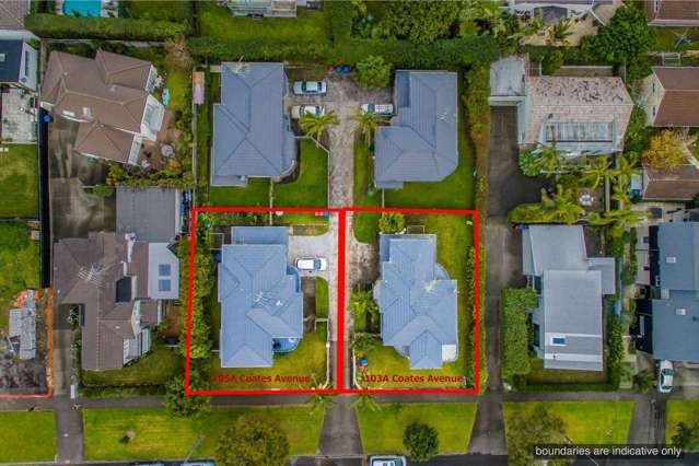 105a Coates Avenue Orakei_4