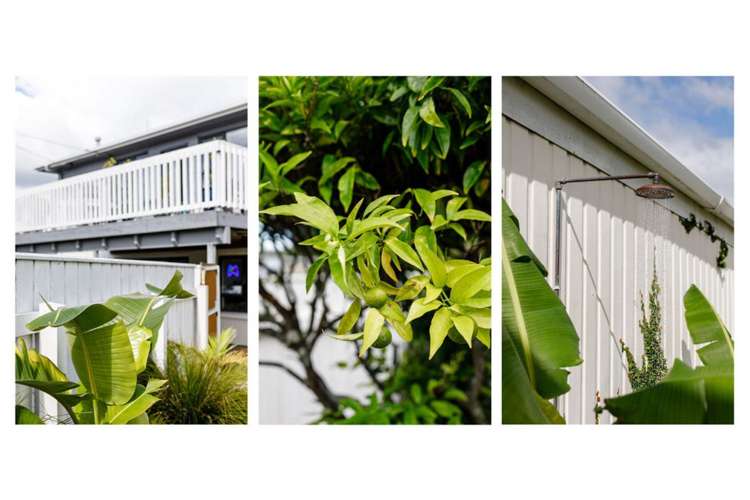 164 Harbour Road Ohope_26