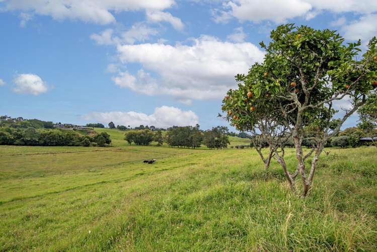 64 Grant Road Opotiki_10